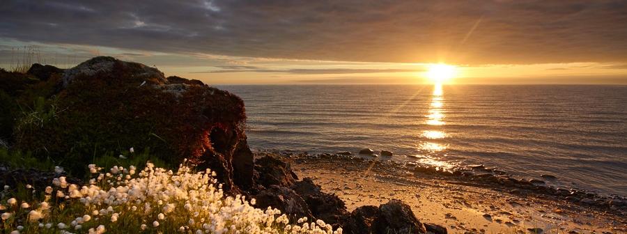 Белое море споёт свои песни в Кирхе