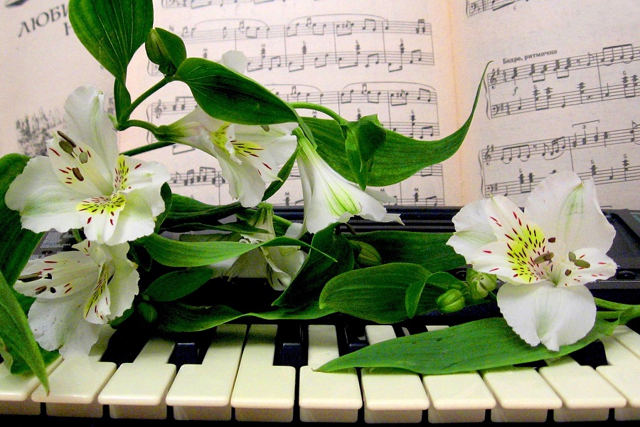 Режим работы касс в праздничные дни