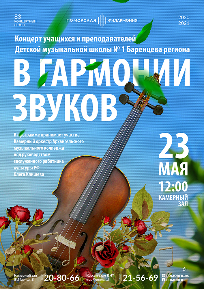 «В гармонии звуков»