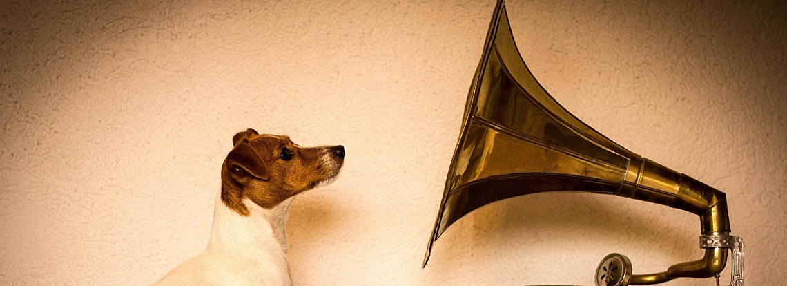 Как звучит «Старая пластинка»?