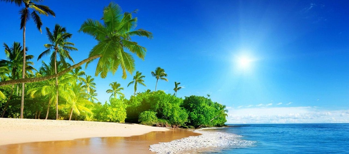 Приглашаем в путешествие на Черепаший остров!